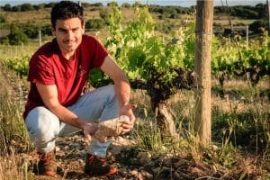bodega buen camino